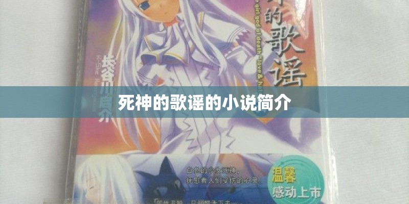 死神的歌谣的小说简介
