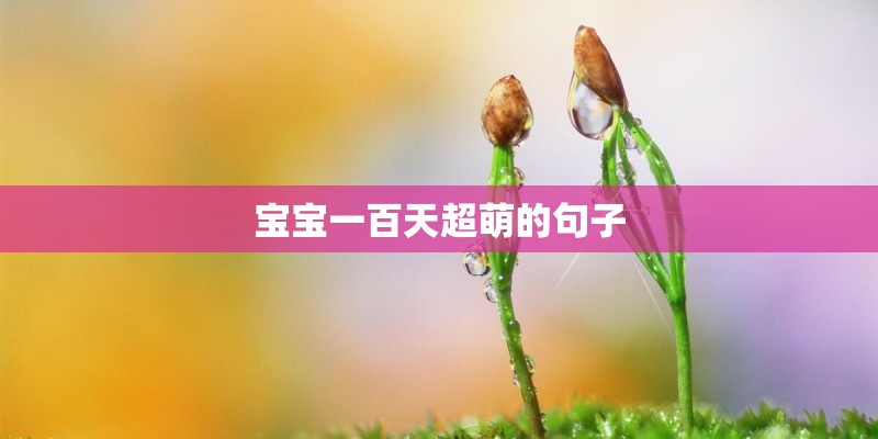 宝宝一百天超萌的句子