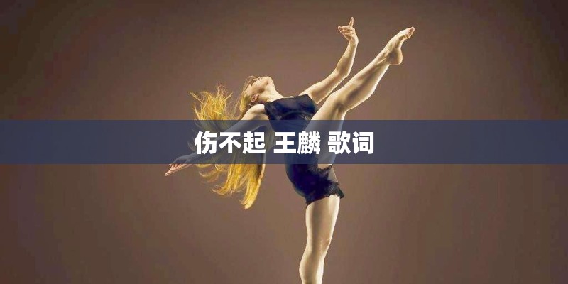 伤不起 王麟 歌词