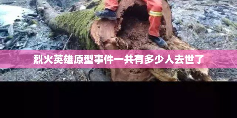 烈火英雄原型事件一共有多少人去世了 烈火英雄原型事件一共有多少人去世了