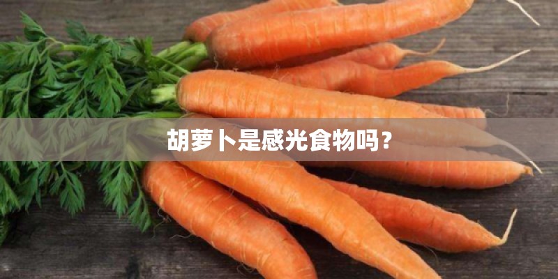 胡萝卜是感光食物吗？