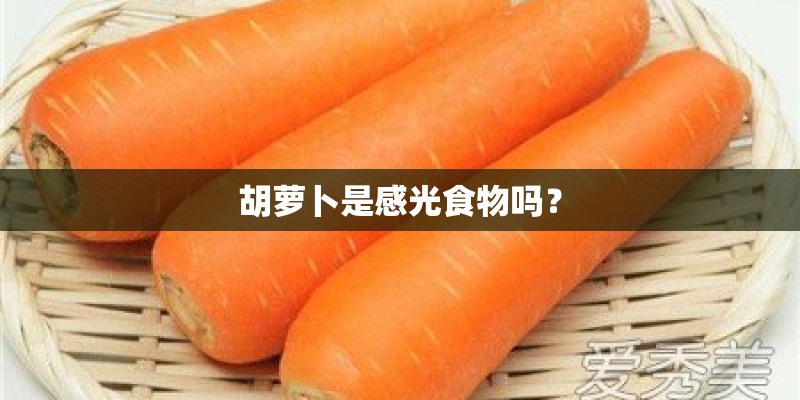 胡萝卜是感光食物吗？