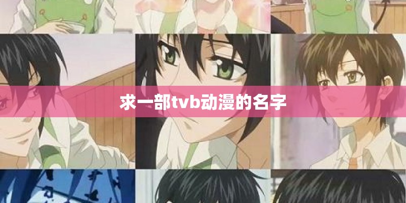 求一部tvb动漫的名字