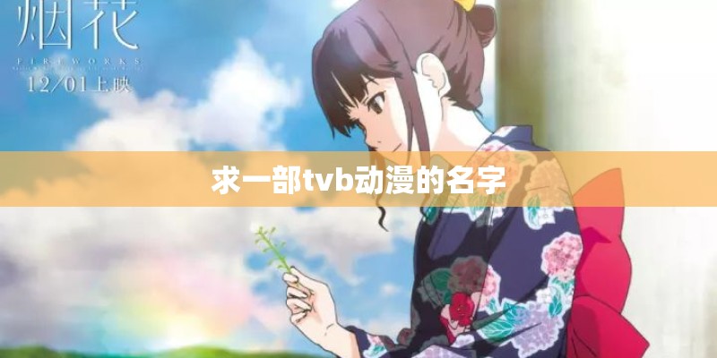 求一部tvb动漫的名字