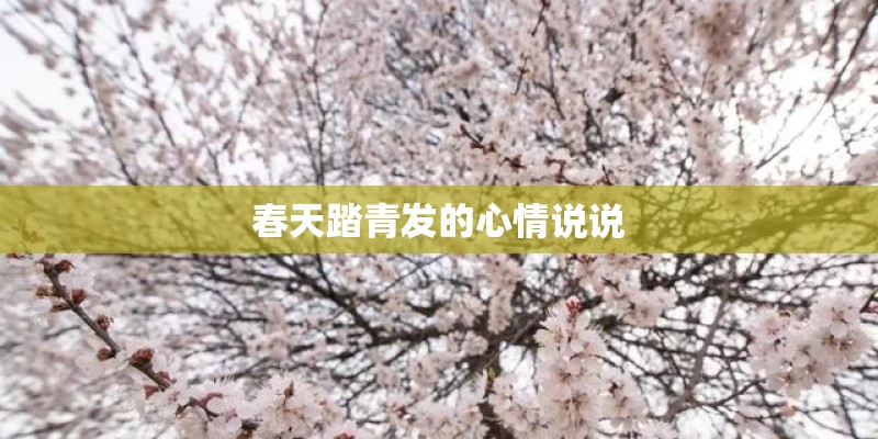 春天踏青发的心情说说