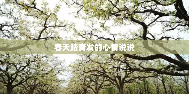 春天踏青发的心情说说 春天踏青发的心情说说