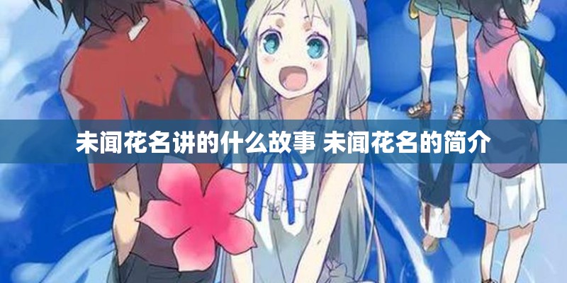 未闻花名讲的什么故事 未闻花名的简介