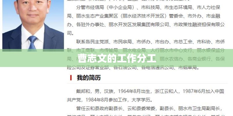 曹志文的工作分工