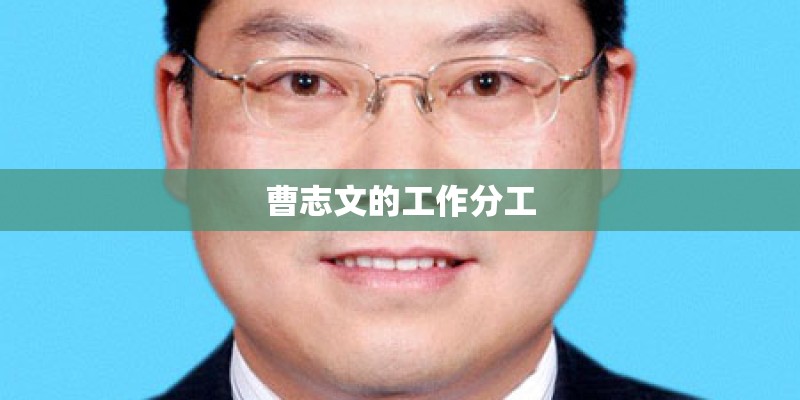 曹志文的工作分工