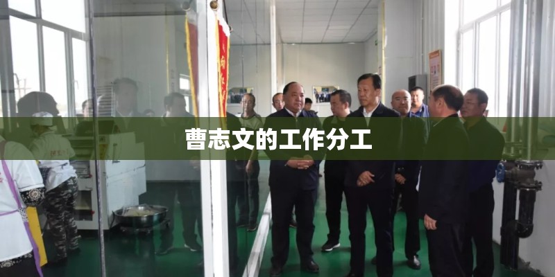 曹志文的工作分工