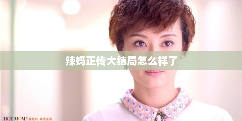 辣妈正传大结局怎么样了