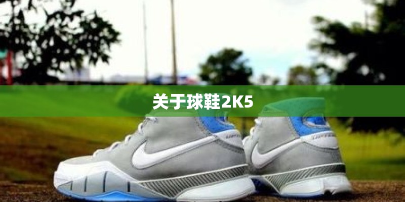 关于球鞋2K5