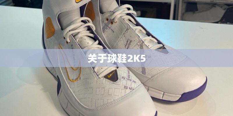 关于球鞋2K5
