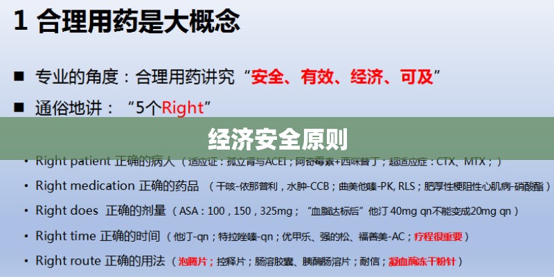 经济安全原则