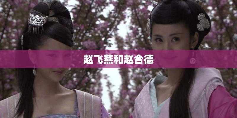 赵飞燕和赵合德