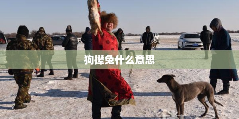 狗撵兔什么意思