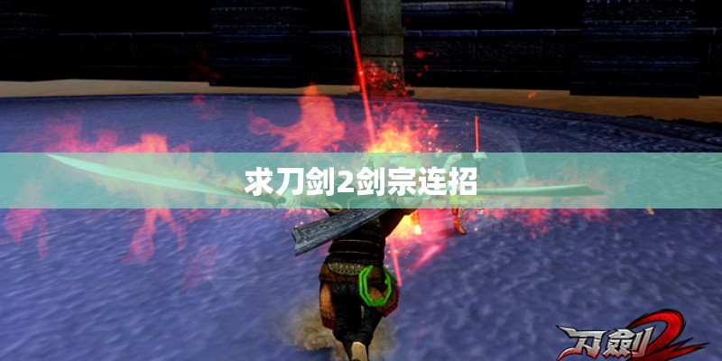 求刀剑2剑宗连招