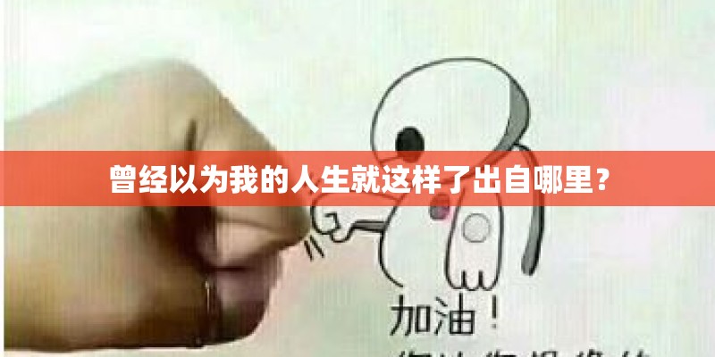 曾经以为我的人生就这样了出自哪里？