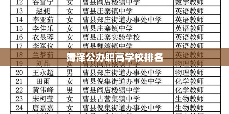 菏泽公办职高学校排名