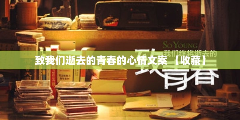 致我们逝去的青春的心情文案 【收藏】