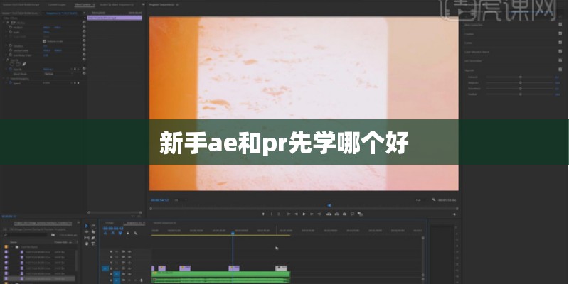 新手ae和pr先学哪个好 新手ae和pr先学哪个好