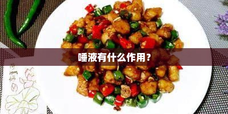 唾液有什么作用? 唾液有什么作用?
