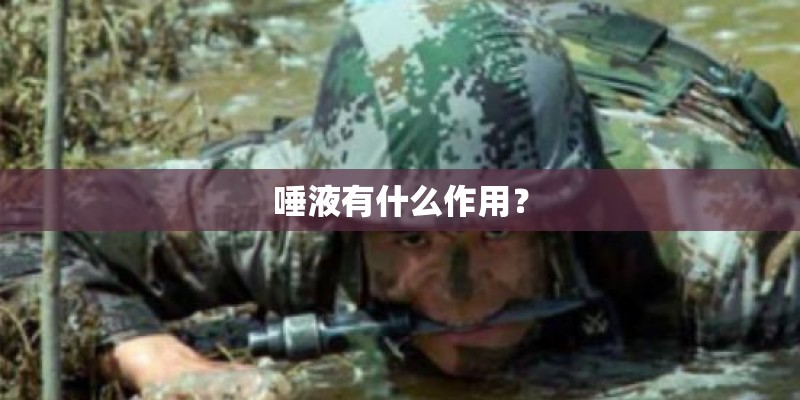 唾液有什么作用? 唾液有什么作用?