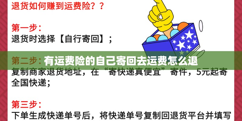 有运费险的自己寄回去运费怎么退