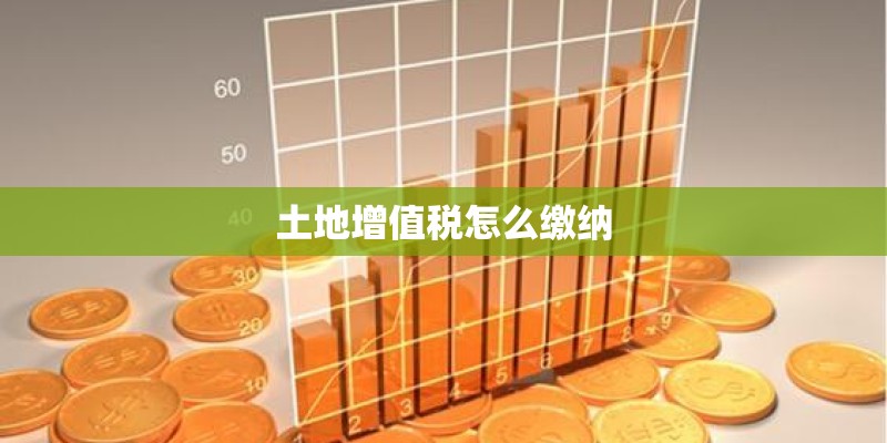 土地增值税怎么缴纳