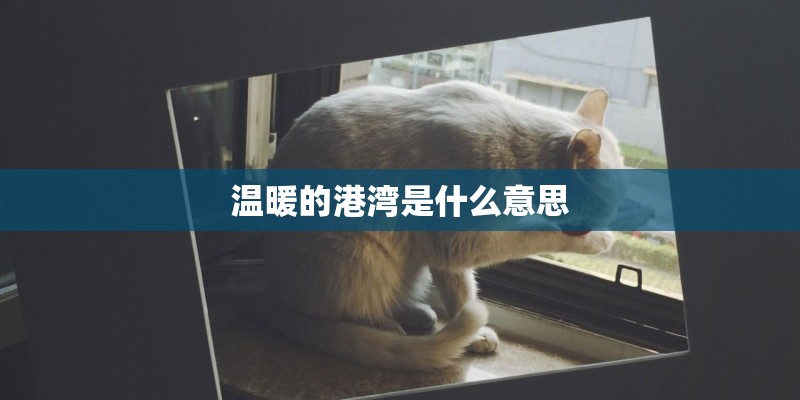 温暖的港湾是什么意思