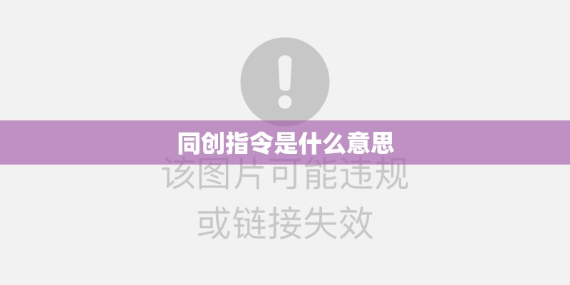 同创指令是什么意思