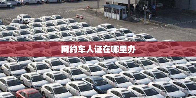 网约车人证在哪里办