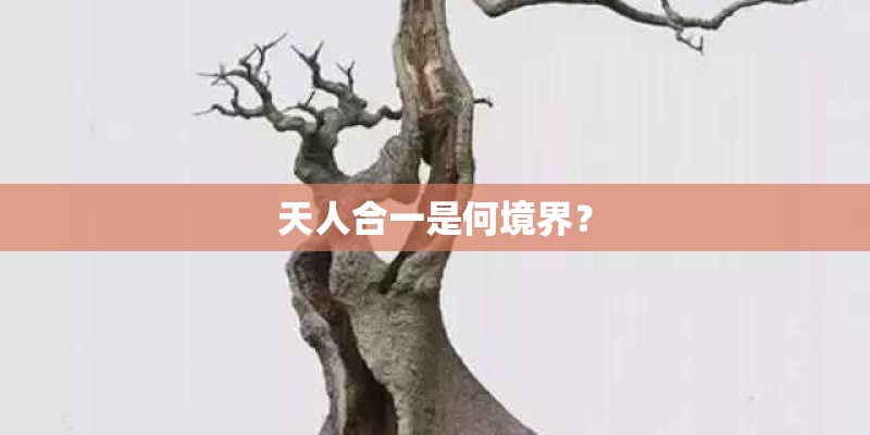 天人合一是何境界？