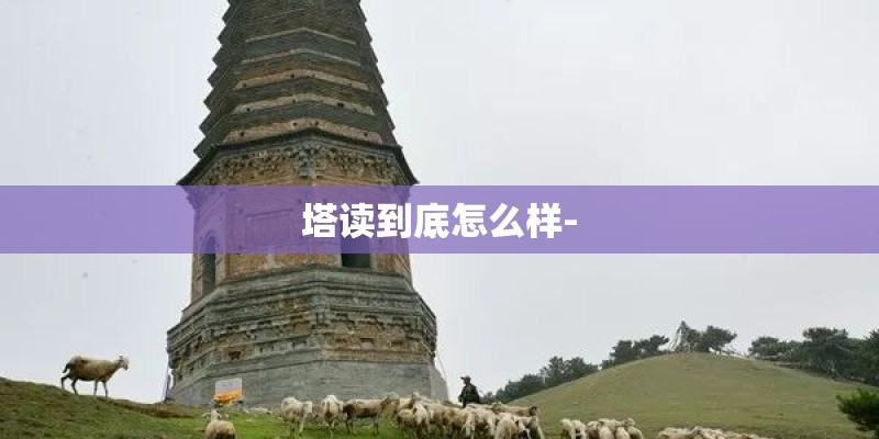 塔读到底怎么样-