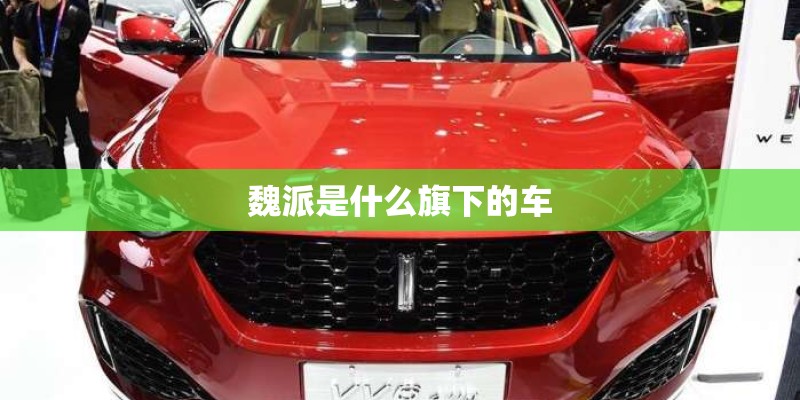 魏派是什么旗下的车