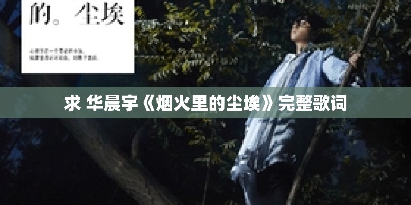 求 华晨宇《烟火里的尘埃》完整歌词