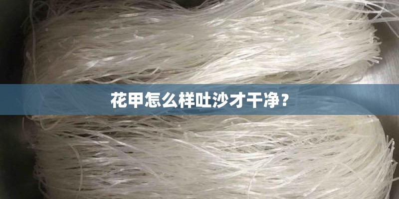 花甲怎么样吐沙才干净？