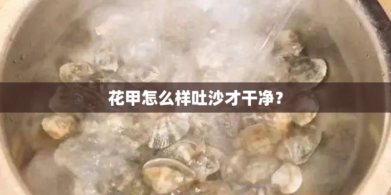 花甲怎么样吐沙才干净？