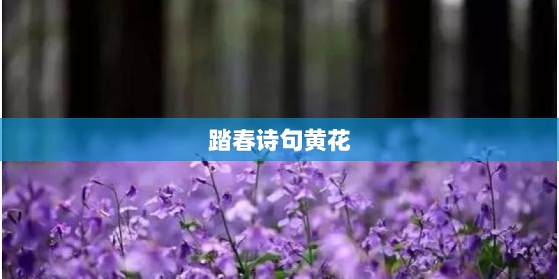 踏春诗句黄花
