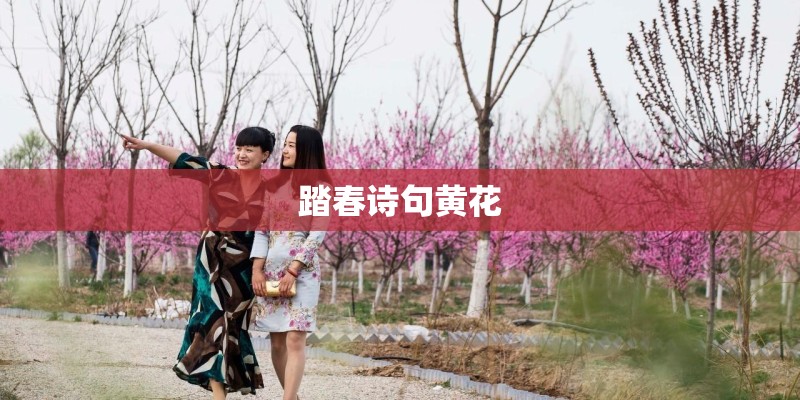 踏春诗句黄花