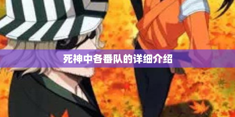 死神中各番队的详细介绍