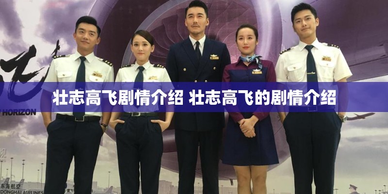 壮志高飞剧情介绍 壮志高飞的剧情介绍