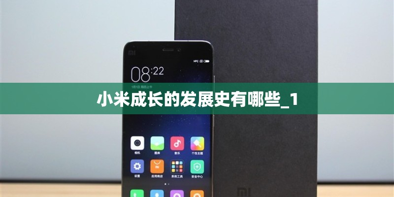 小米成长的发展史有哪些_1