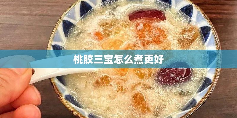 桃胶三宝怎么煮更好