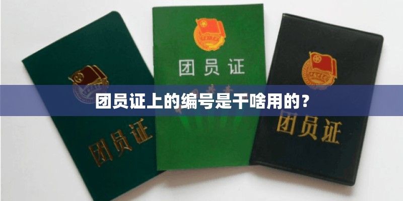 团员证上的编号是干啥用的？