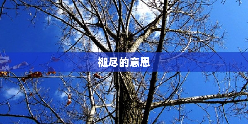 褪尽的意思