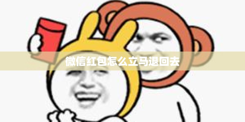 微信红包怎么立马退回去