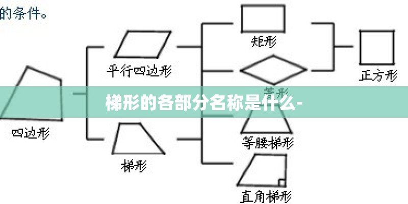生长水晶怎么养？
