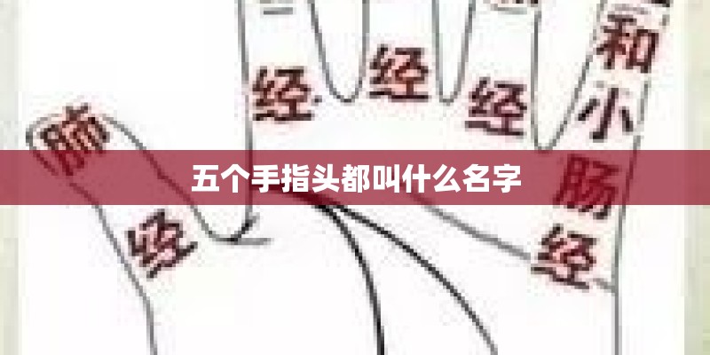 五个手指头都叫什么名字 五个手指头都叫什么名字