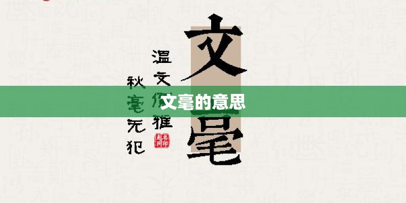 文毫的意思